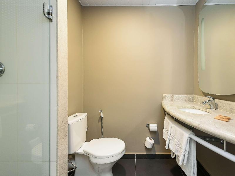 ibis Jacarei image