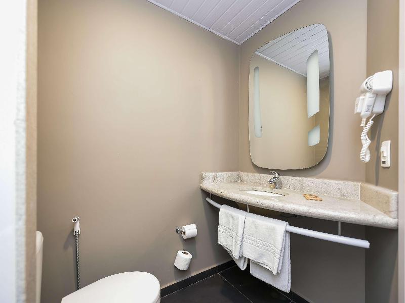 ibis Jacarei image