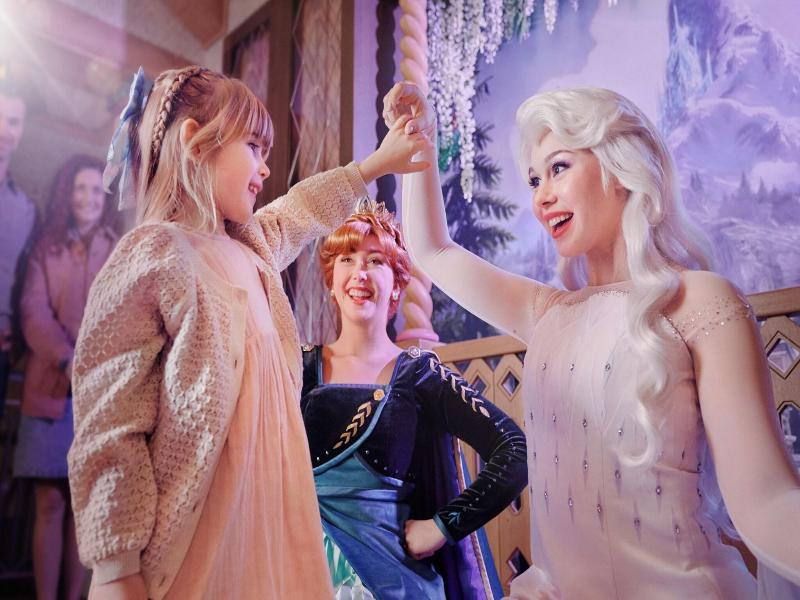 Disneyland Hotel image