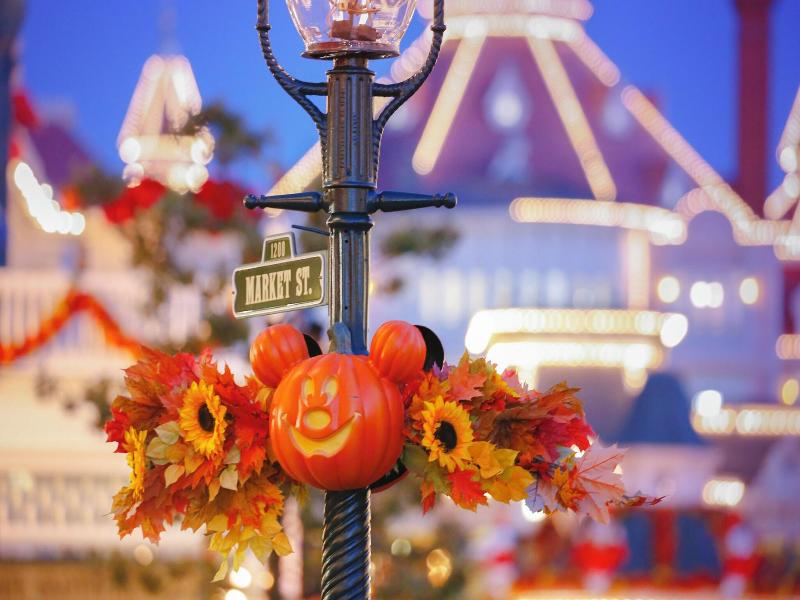 Disneyland Hotel image