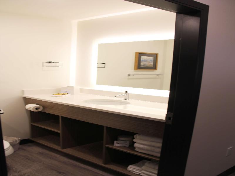Best Western Plus Winkler image