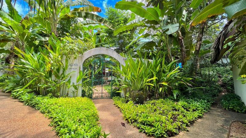 Coco Grove Beach Resort image
