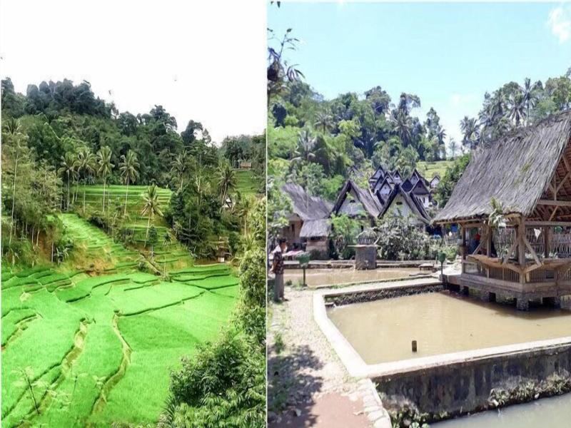 Mandalawangi Hotel