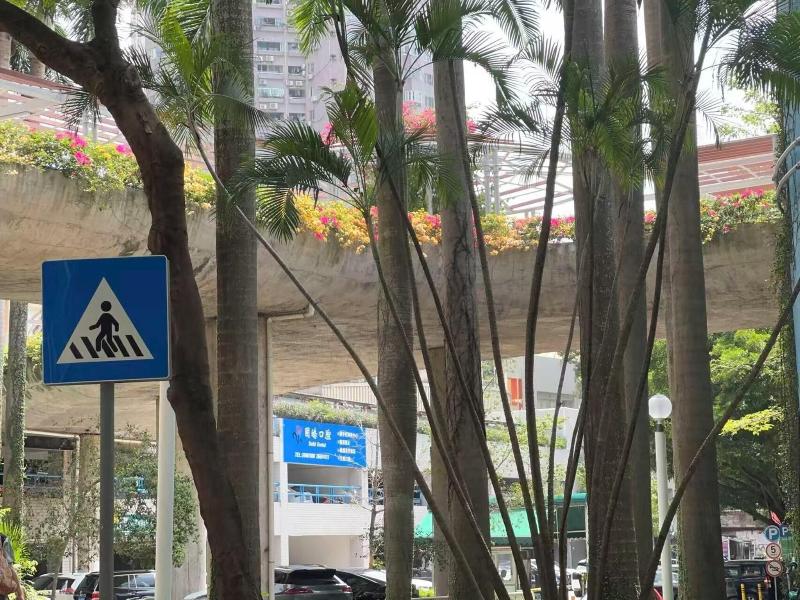 City Inn Shenzhen Splendid China image