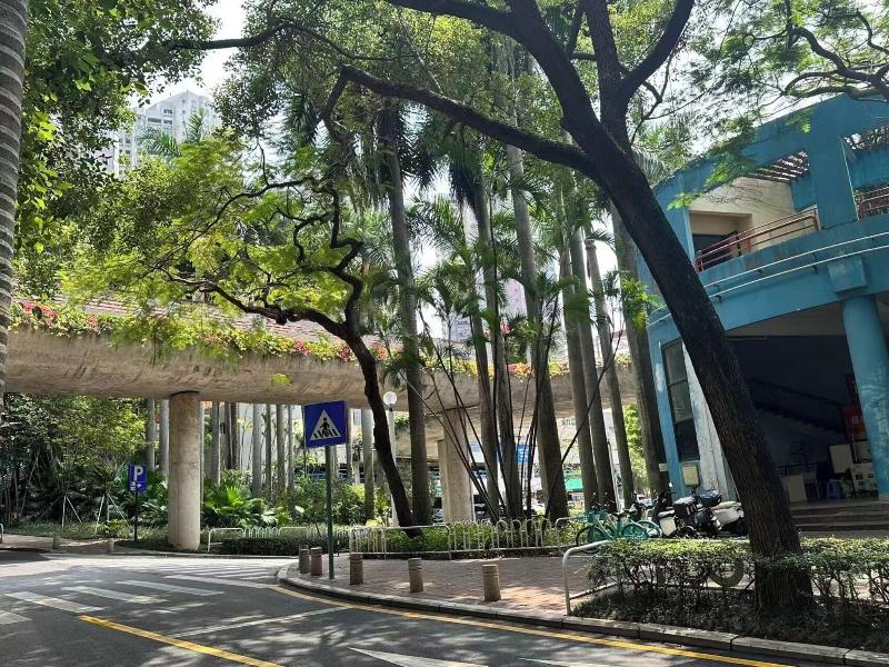 City Inn Shenzhen Splendid China image