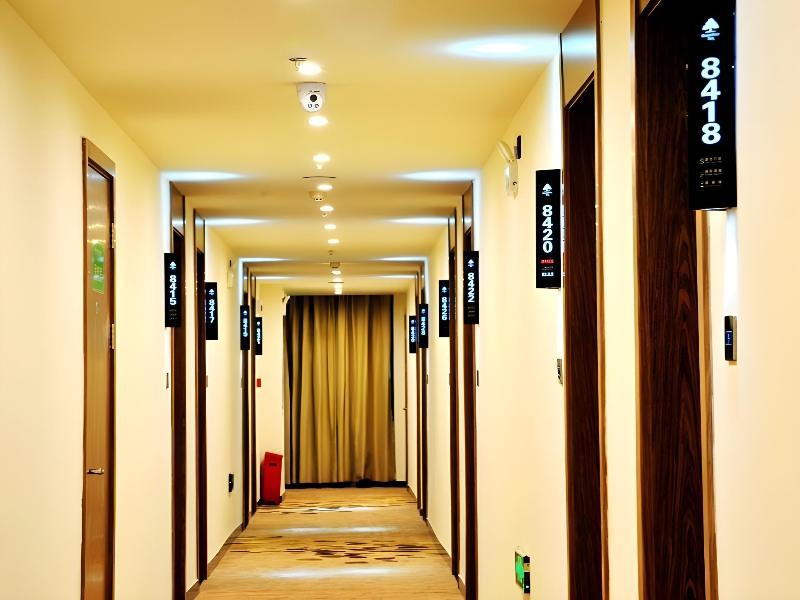 GreenTree Inn Haikou City Wuzhishan Road — photo 4