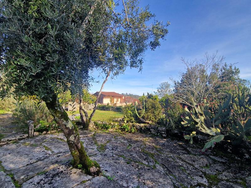 Villa Pedra – Natural Houses image