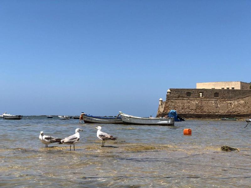 Planeta Cadiz Hostel image