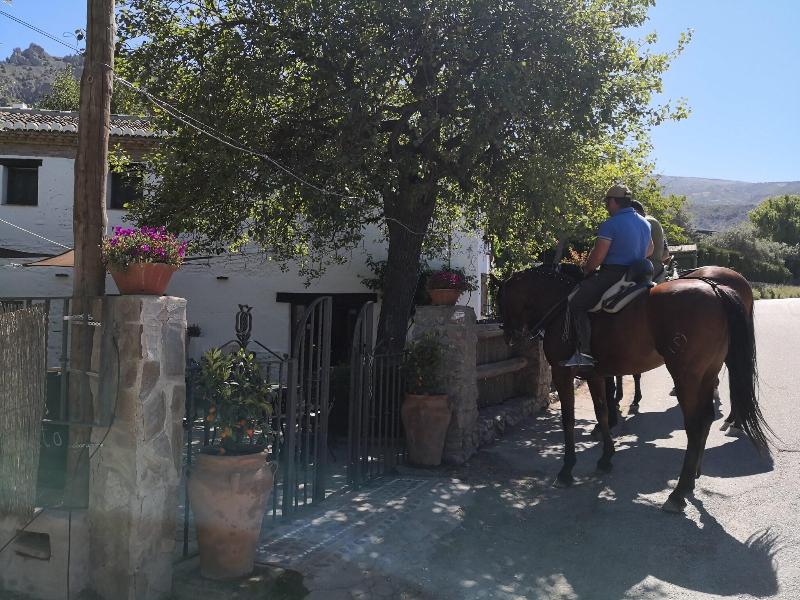 Alqueria De Los Lentos image
