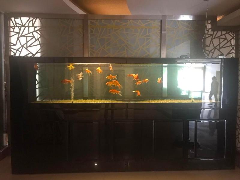 7 DAYS PREMIUMA BAODING ZHUOZHOU DEVELOPMENT ZONE image 2