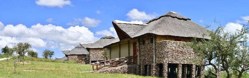 Hotel Serengeti Safari Lodge