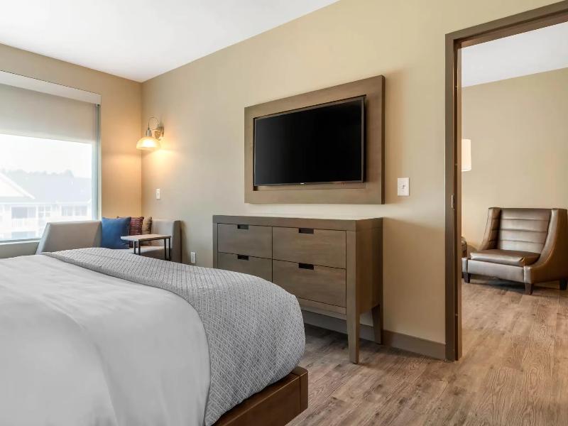 Cambria Hotel Fort Mill image