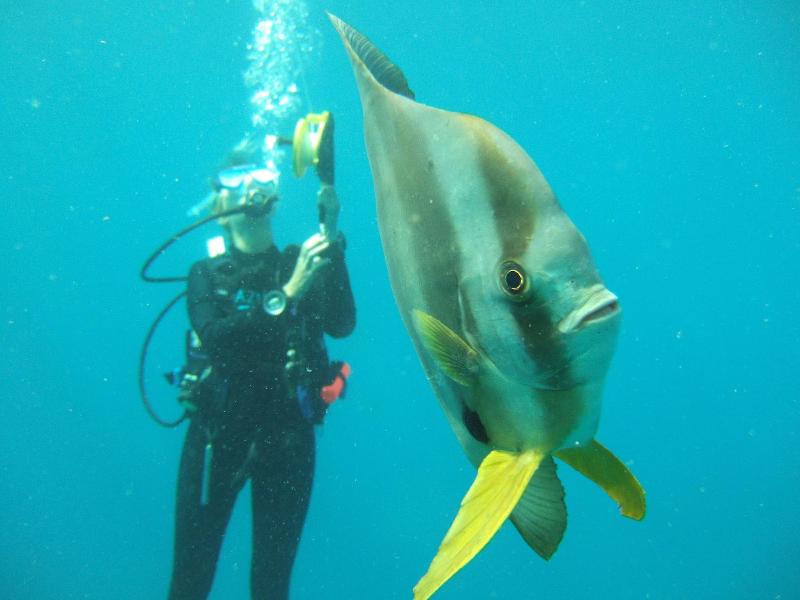 Azura Benguerra Island image
