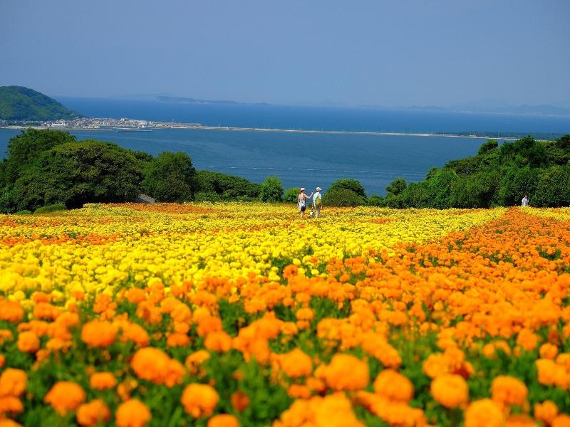 APA Hotel Hakatahigashihie-Ekimae image