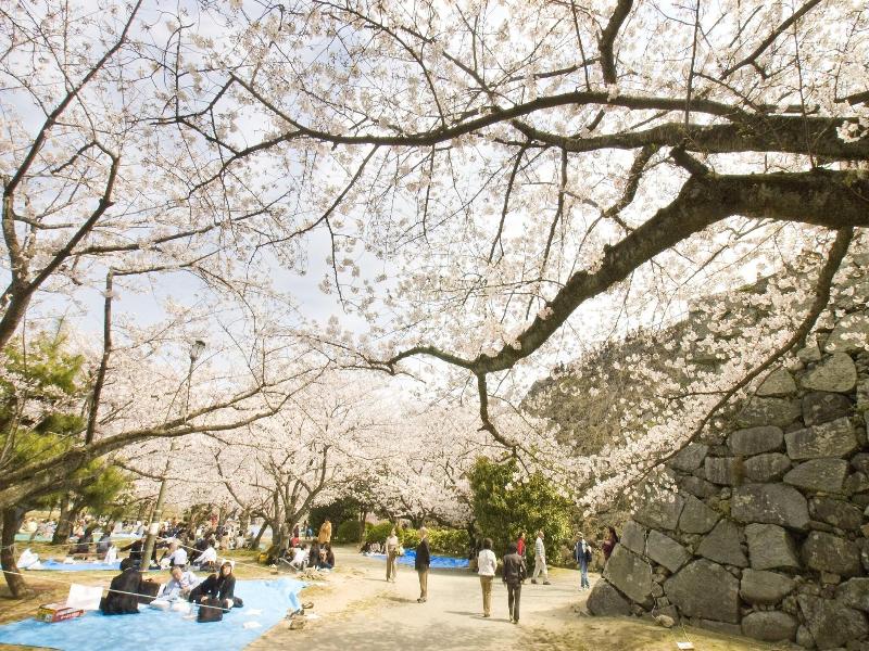 APA Hotel Hakatahigashihie-Ekimae image