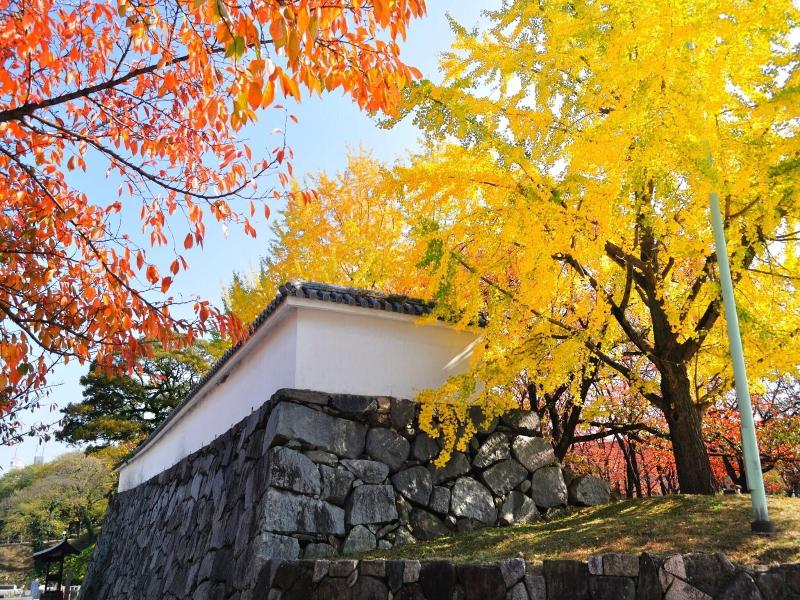 APA Hotel Hakatahigashihie-Ekimae image