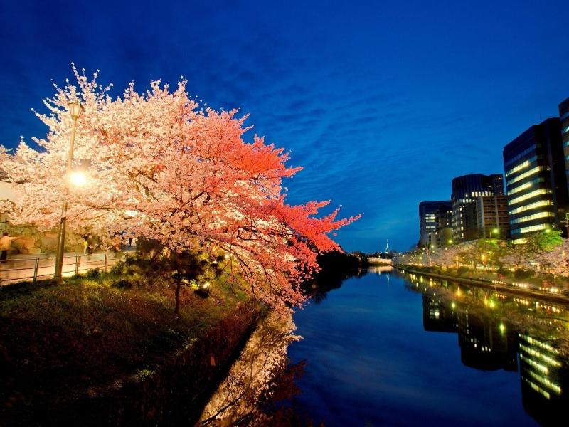 APA Hotel Hakatahigashihie-Ekimae image
