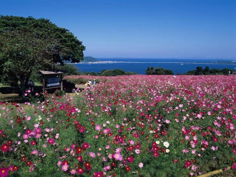 APA Hotel Hakatahigashihie-Ekimae image