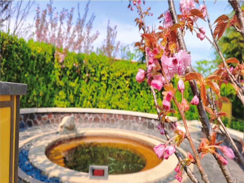 Holiday Inn Dalian Hot Spring image