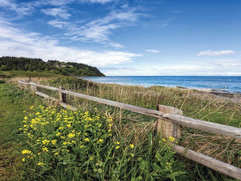 Worldmark Discovery Bay - Extra Holidays image