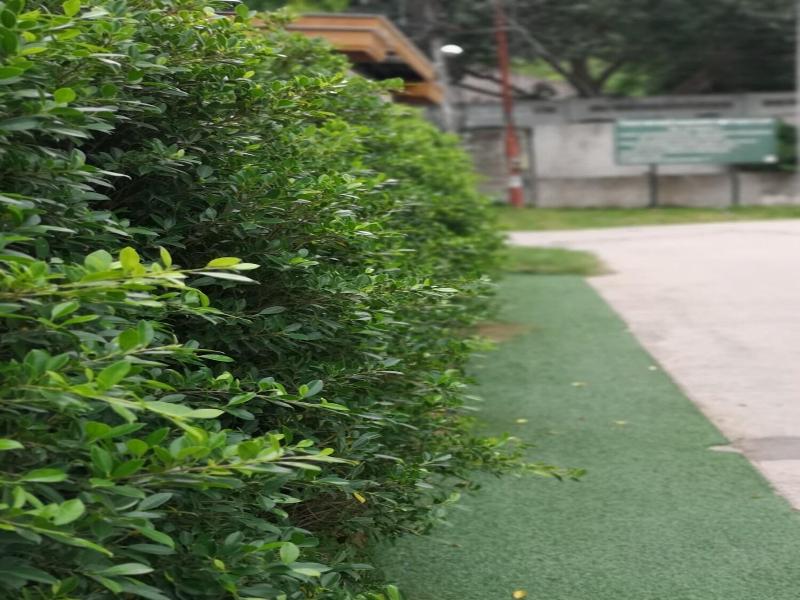 AIYA RESORT KOHTAO image