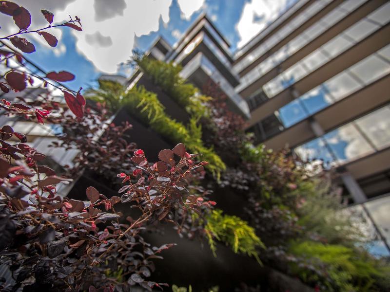 Mercure Roma Cinecittà (New Opening) image