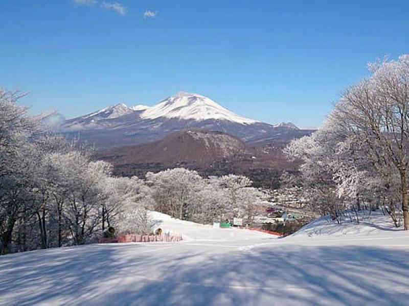 IKOI Villa image