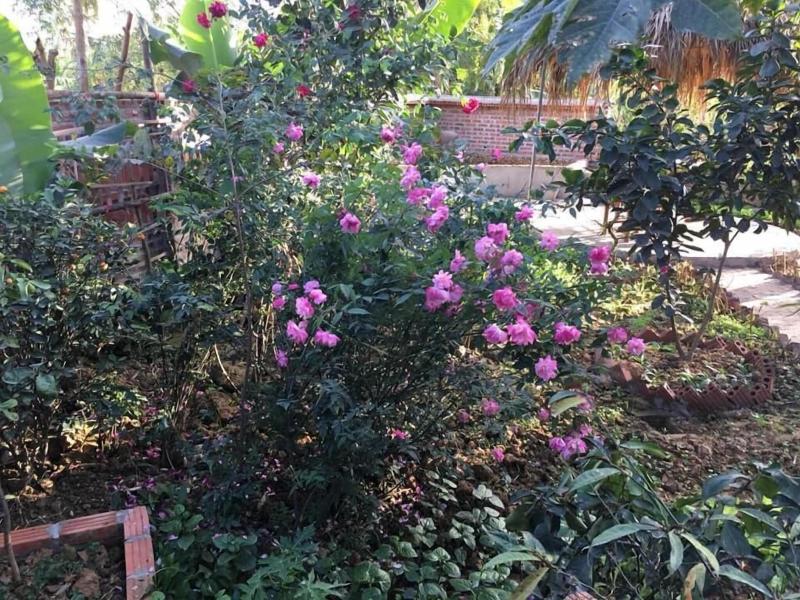 VanLong  Homestay image