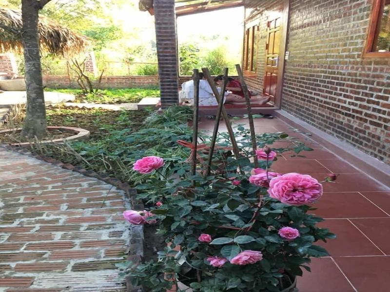 VanLong  Homestay image