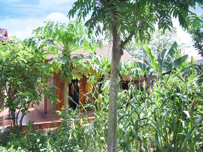 VanLong  Homestay image