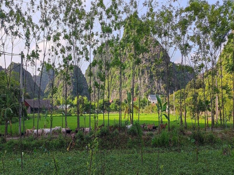 Trang An Retreat image