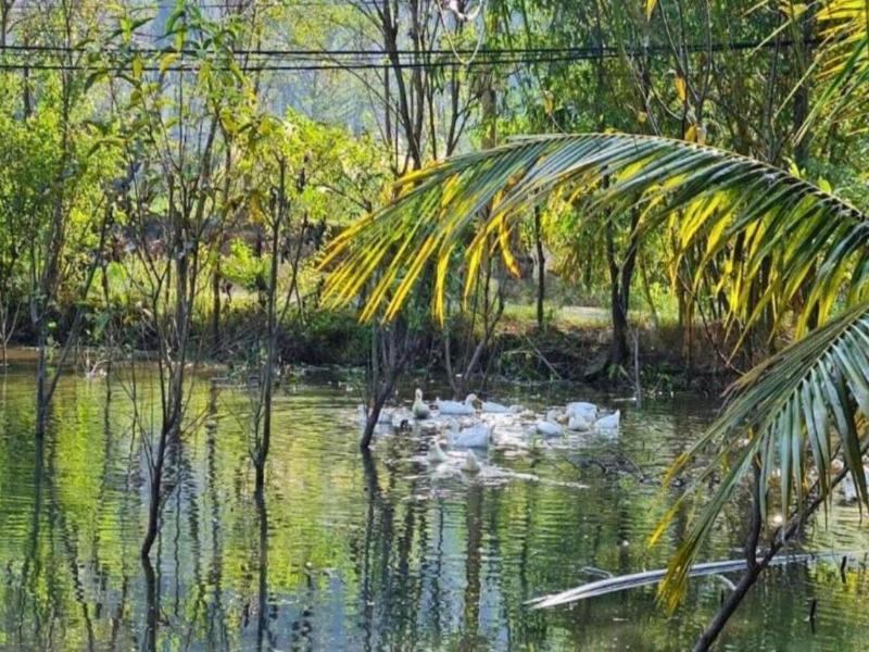 Trang An Retreat image