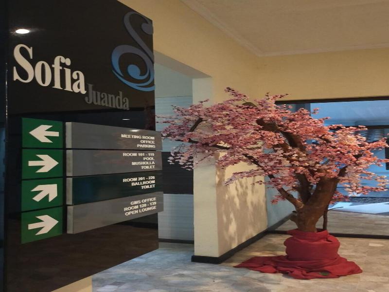 Sofia Juanda image