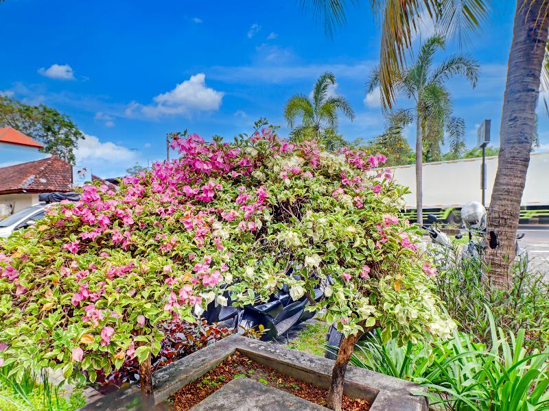 Collection O Bali Near Sanur Beach image