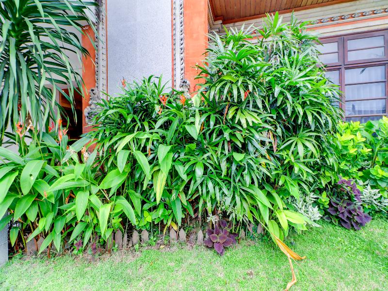 Collection O Bali Near Sanur Beach image