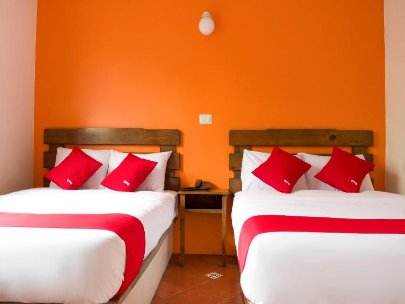 OYO Hotel Museo  image