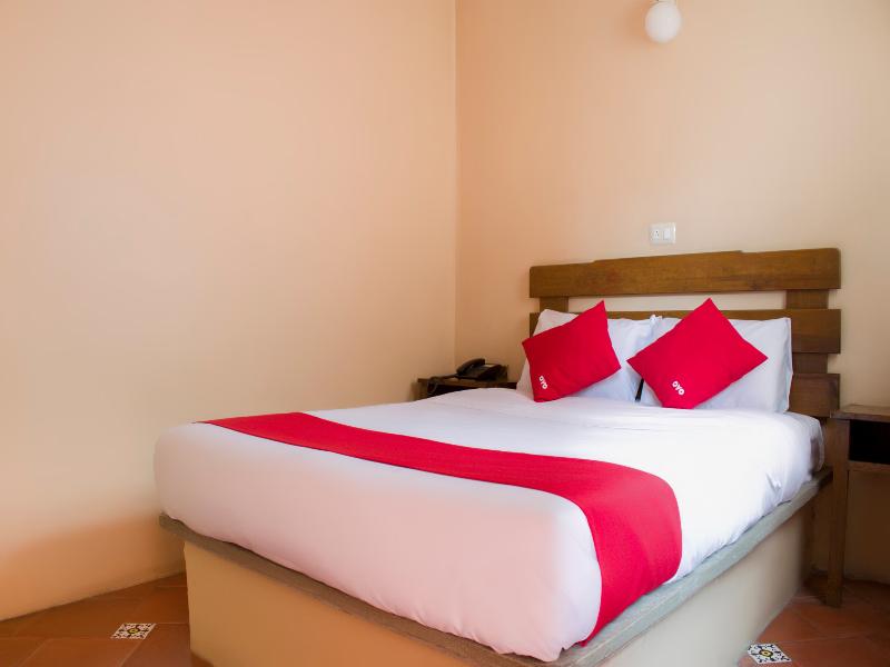 OYO Hotel Museo  image