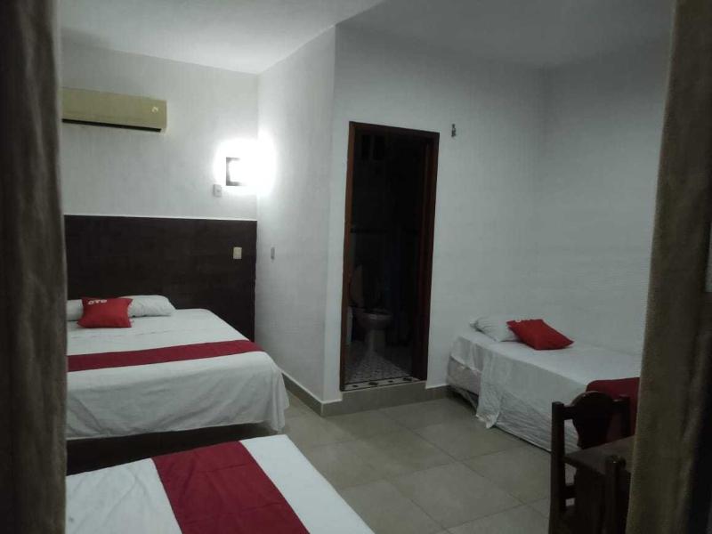 OYO Hotel Palma Real image