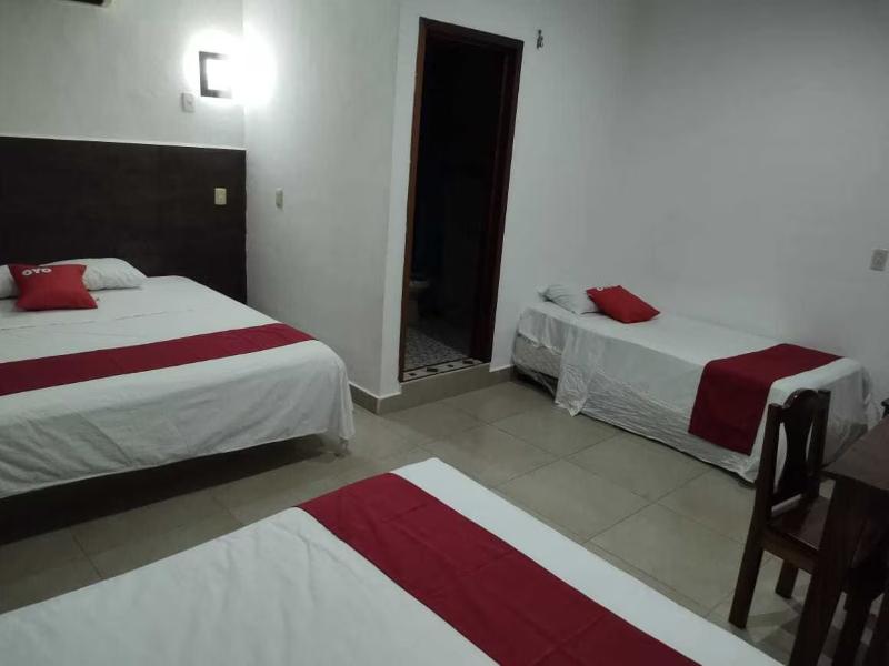 OYO Hotel Palma Real image
