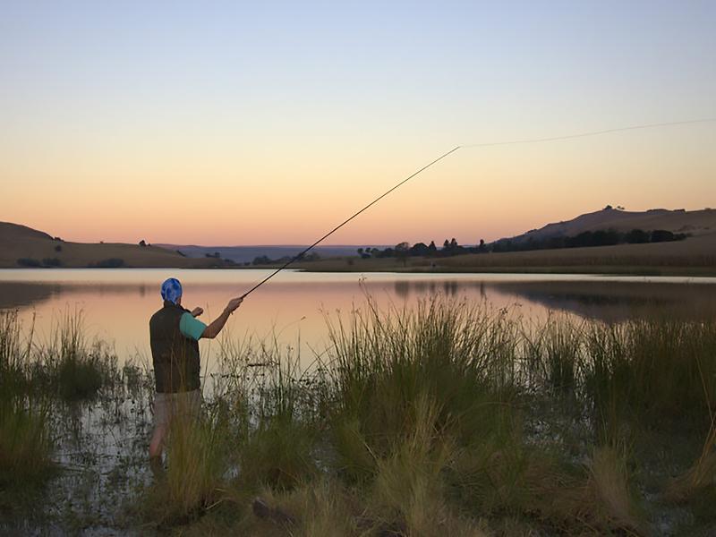 Cayley Mountain Resort image