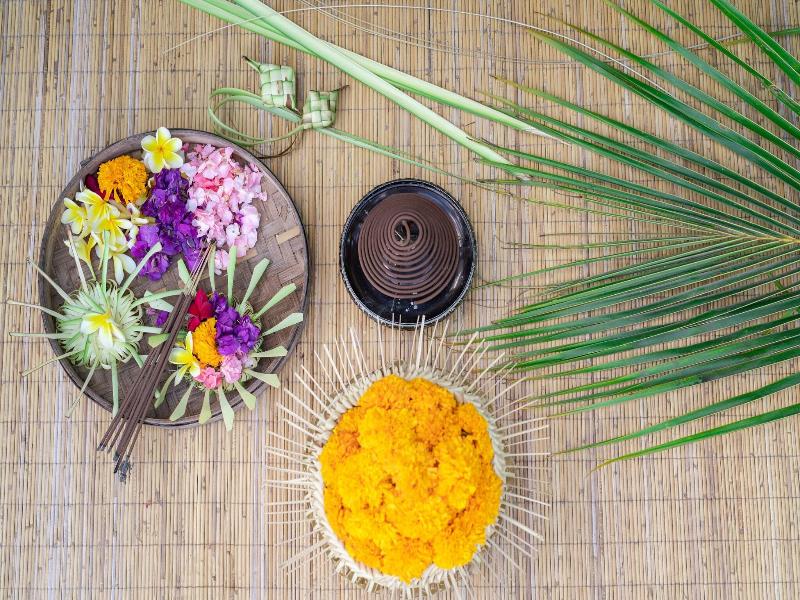 Tapa Nata Ubud by Pramana image