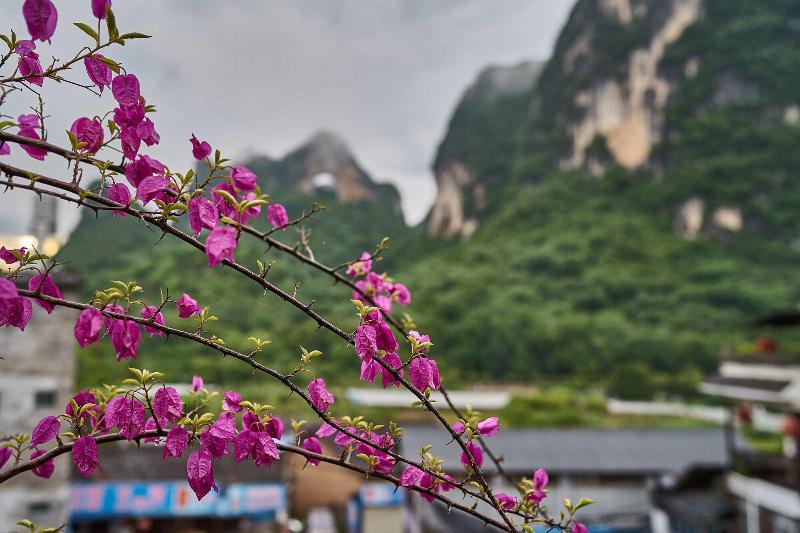 Yangshuo Village Inn
