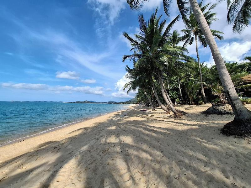Thiptara Resort image