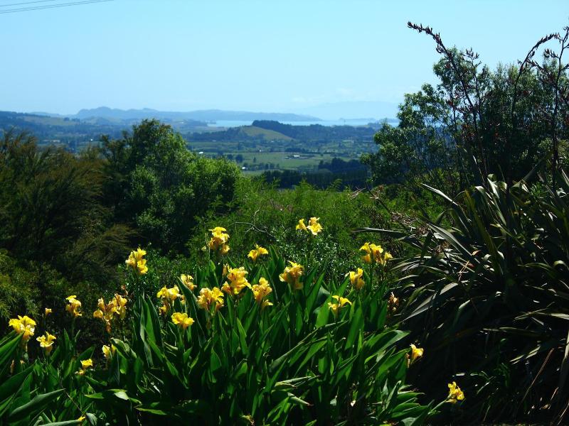 Auckland Country Cottages image