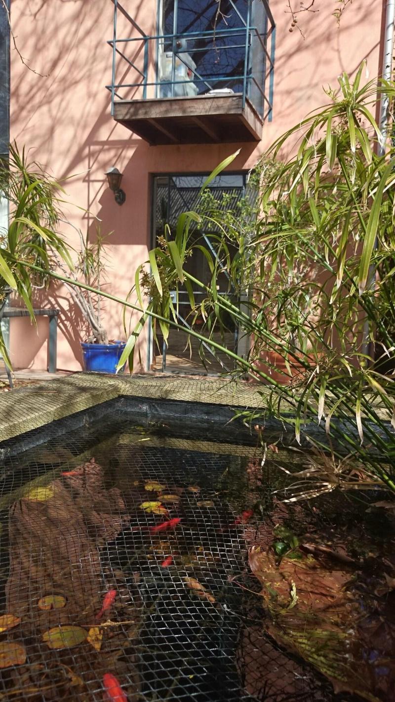 Fremantle Holiday Accommodation image