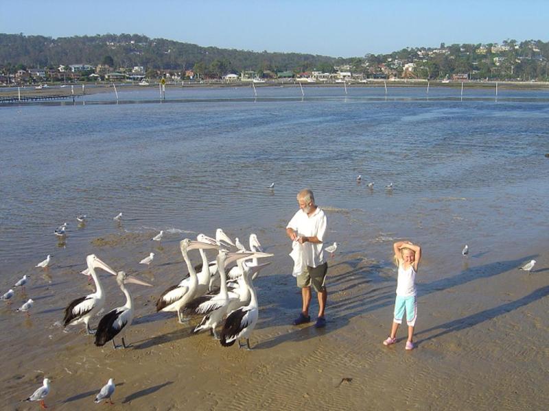 Nautilus Apartments Merimbula