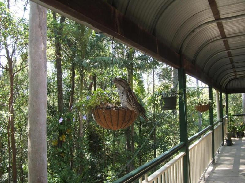 Rumbalara Bed and Breakfast