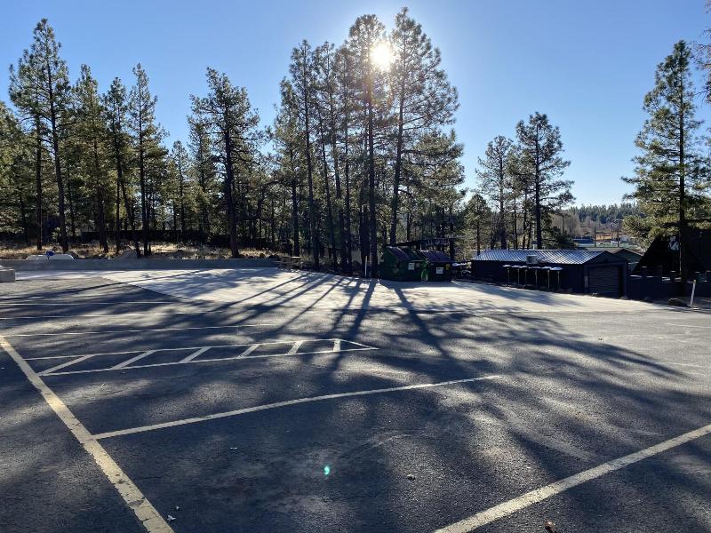 Motel In The Pines image