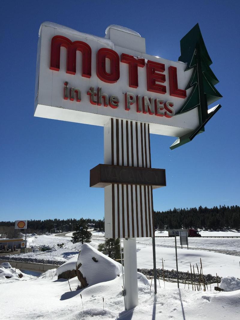 Motel In The Pines image
