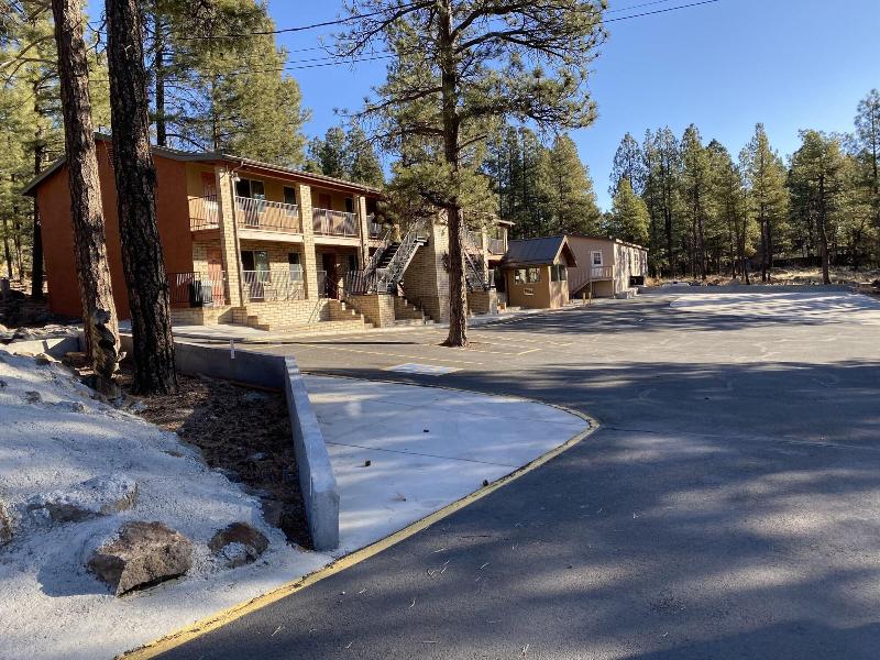 Motel In The Pines image